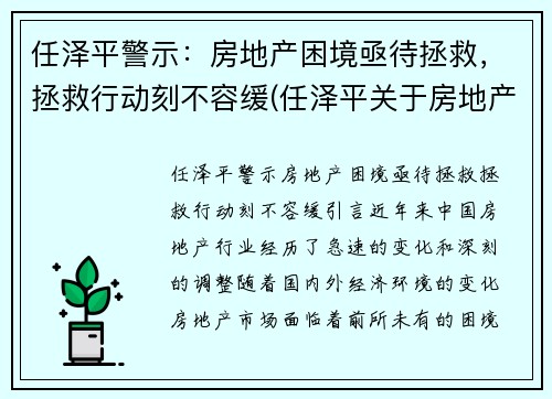 任泽平警示:房地产困境亟待拯救,拯救行动刻不容缓(任泽平关于房地产)
