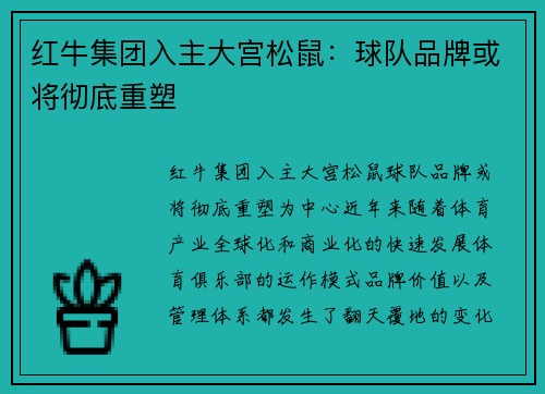 红牛集团入主大宫松鼠:球队品牌或将彻底重塑