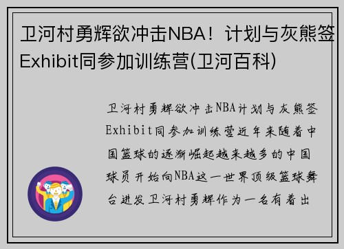 卫河村勇辉欲冲击NBA！计划与灰熊签Exhibit同参加训练营(卫河百科)